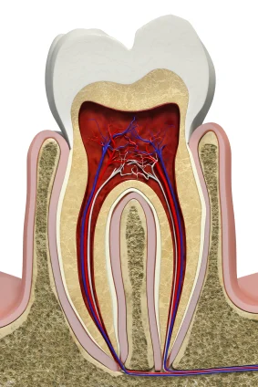 Jutkowitz Periodontics & Implantology Picture 3