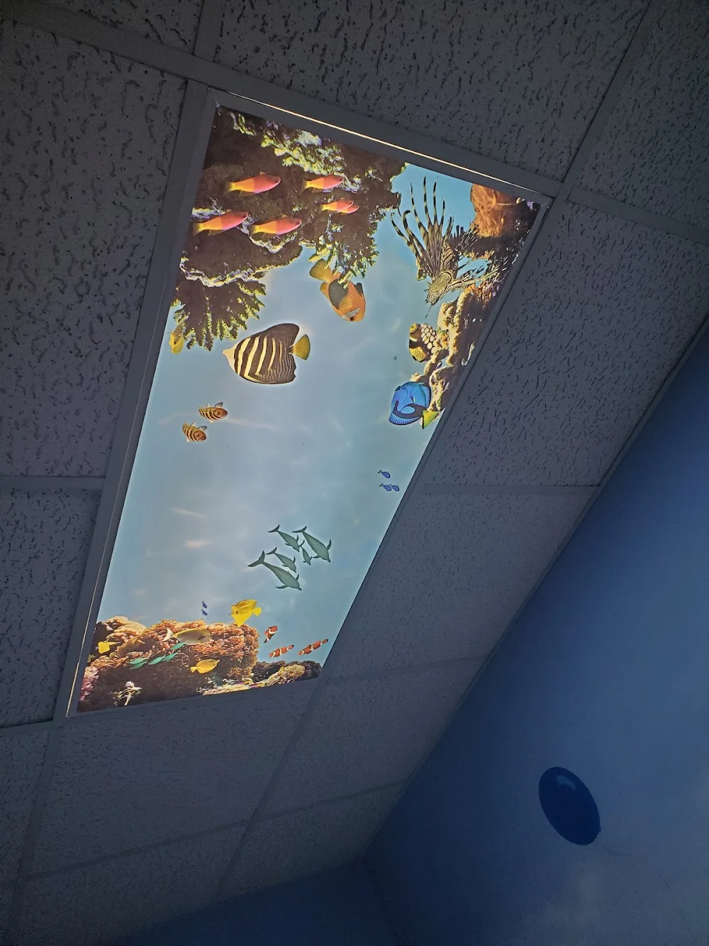 Nashua Dentistry and Orthodontics for Children Picture 4