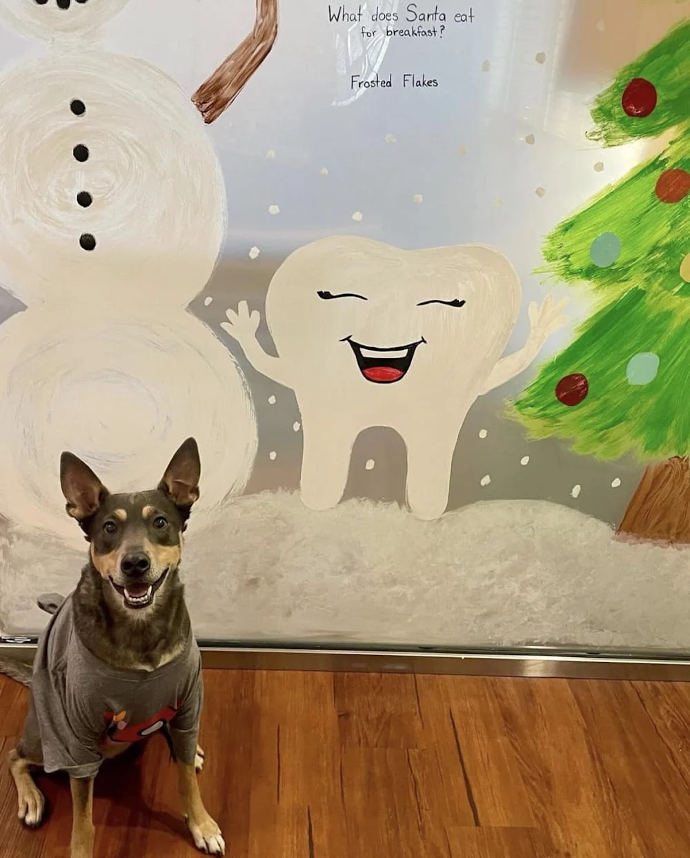 Prairie View Orthodontics - Aurora Picture 2