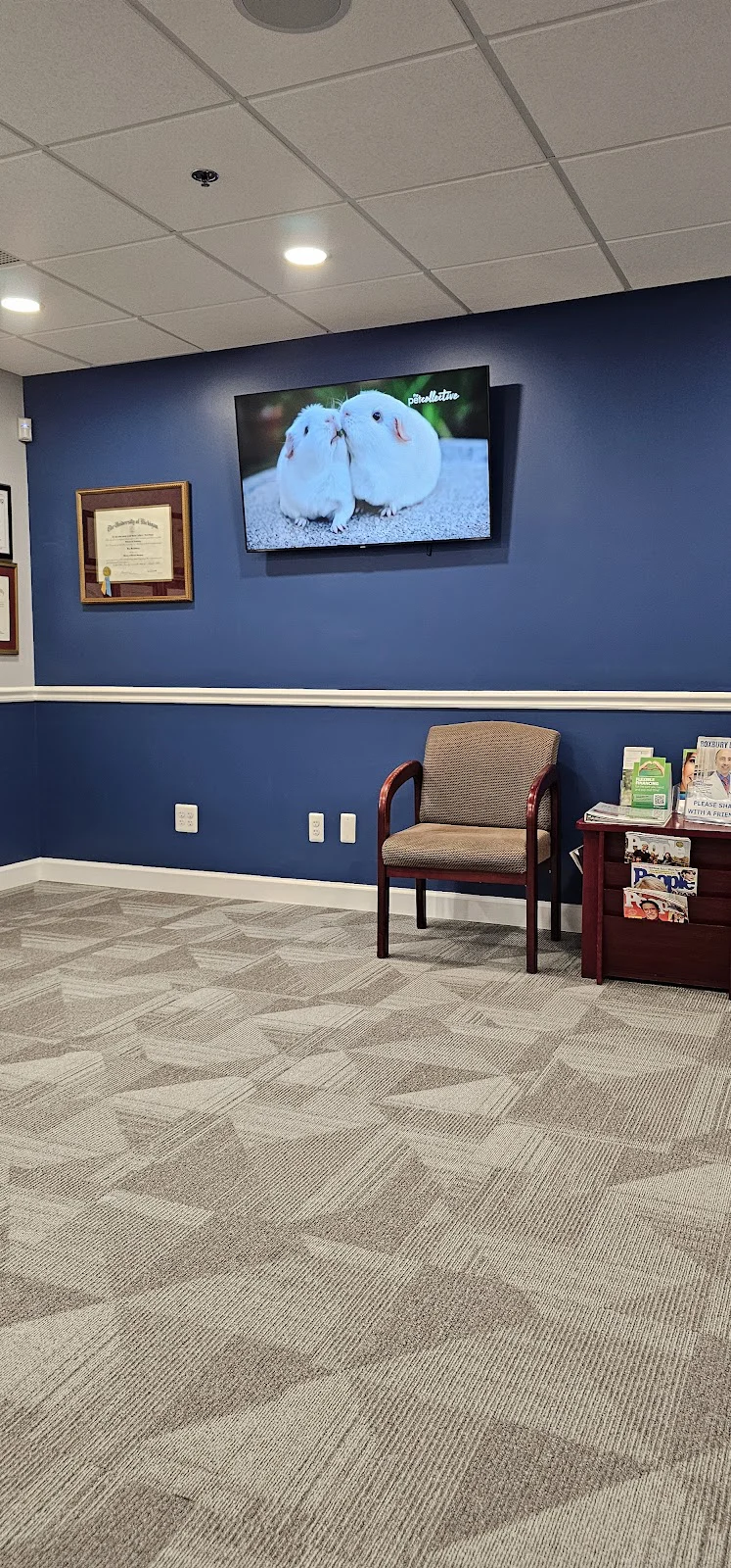 Morris County Dental Associates Picture 4
