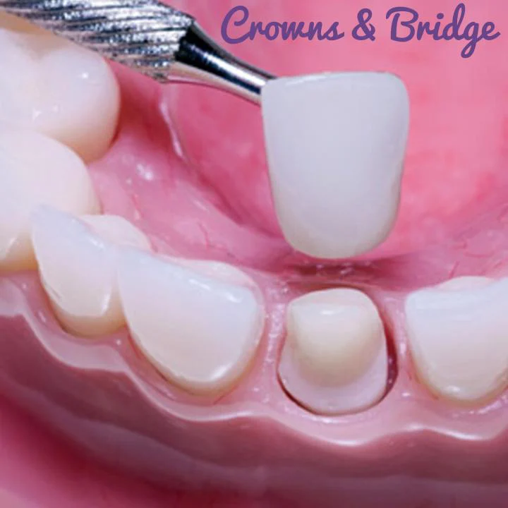 Dr. Tejal Pathak DDS Picture 9