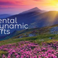 Dynamic Dental Arts: Lori VanderWende-Bleeker, DMD ico