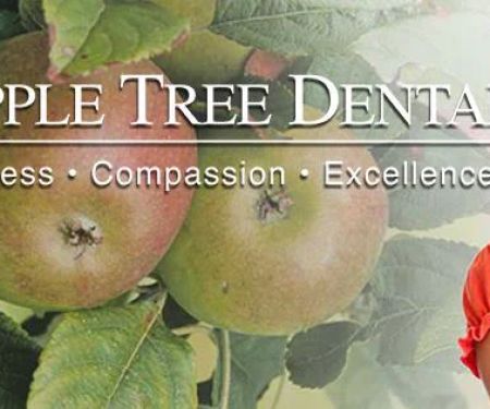 Apple Tree Dental Mounds View