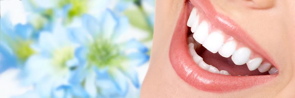 Twin Cities Dental Picture 10
