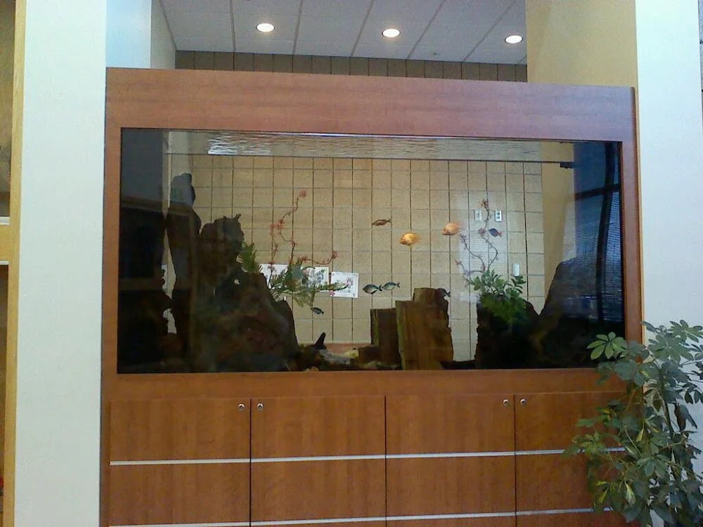 Community Dental Care - Maplewood Picture 9