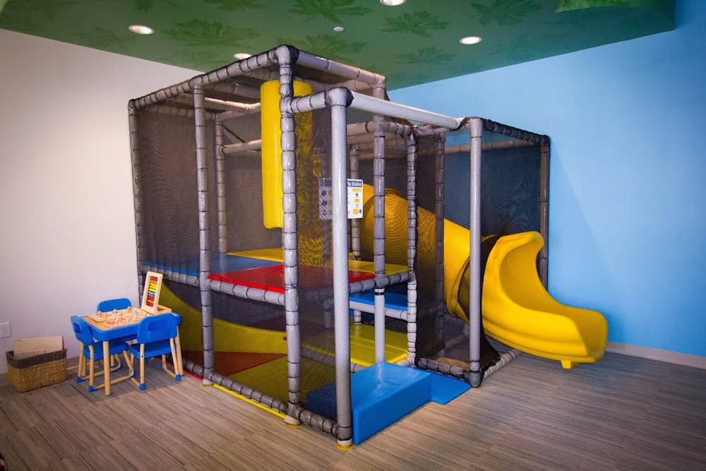 MapleTree Pediatric Dentistry Picture 4