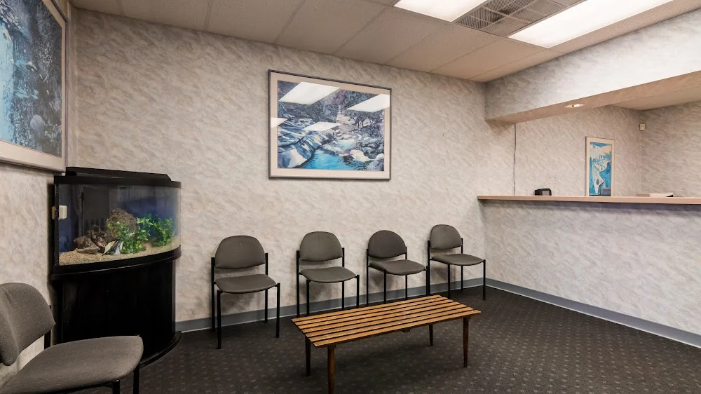 Dental Solutions of Roxborough Picture 7
