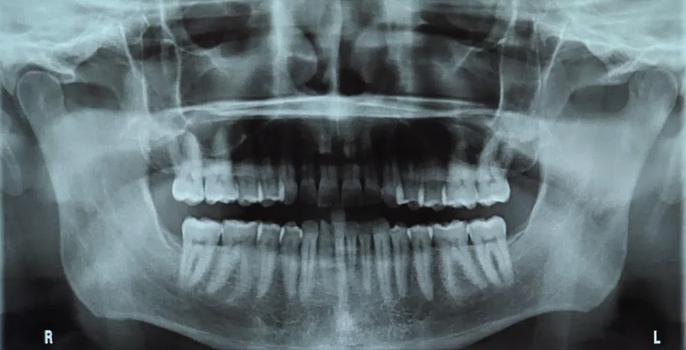 Donoho Geoffrey E DDS Picture 1