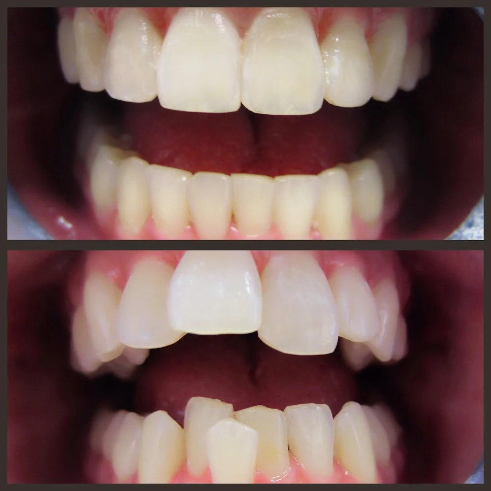 Dentistry At Suburban Square: Michael I. Wollock, DMD Picture 10