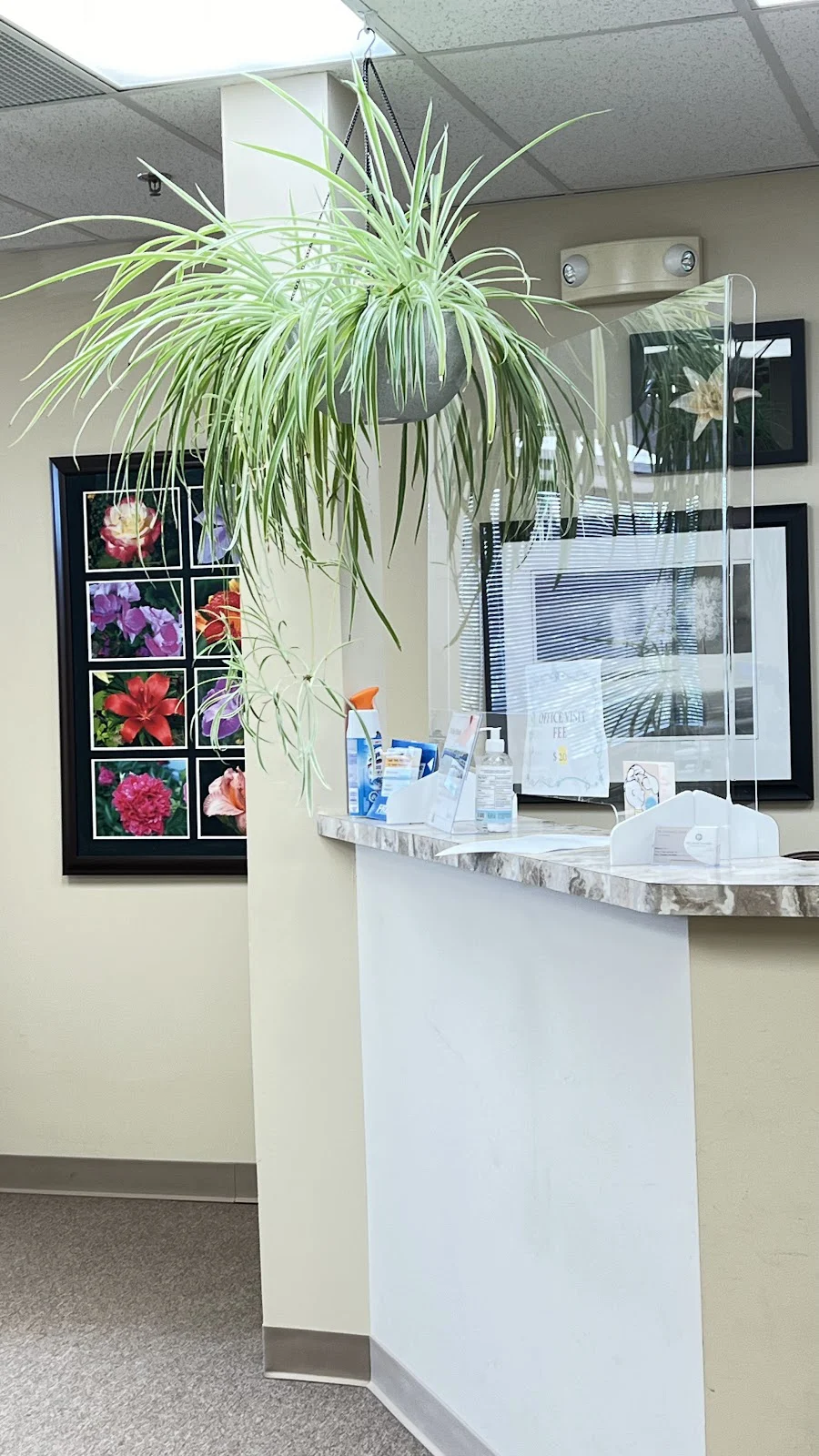 Clark Dental Associates Picture 3
