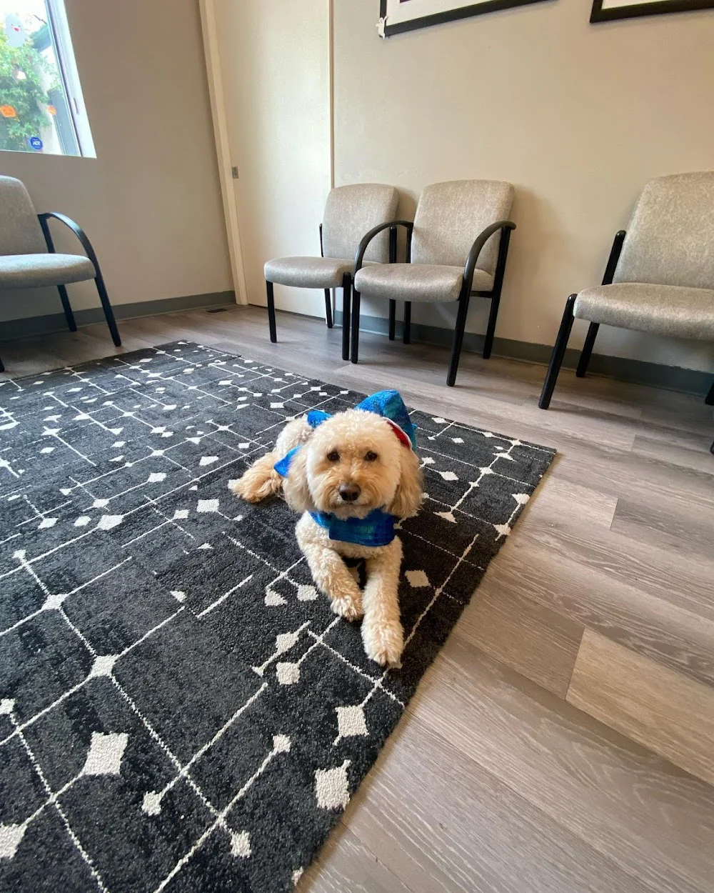 Palo Alto Orthodontics Picture 1
