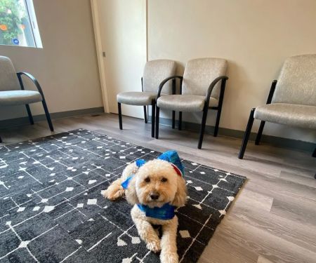 Palo Alto Orthodontics