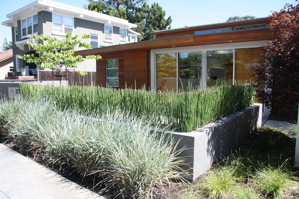 Little Bytes Pediatric Dentistry Palo Alto | Your Trusted Pediatric Dentist Picture 5