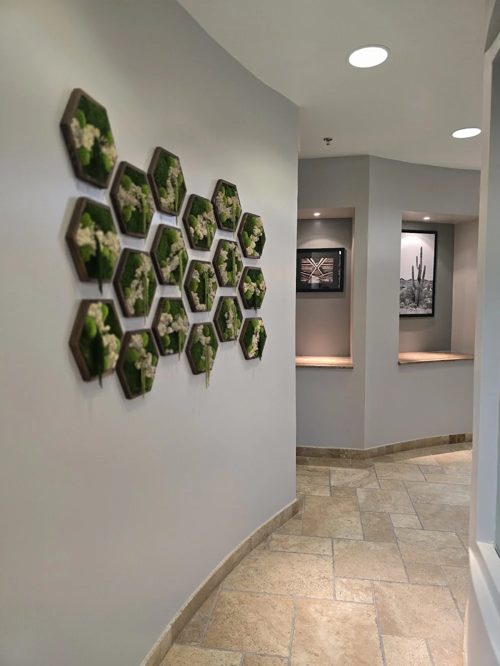 Wellness Dental Picture 6