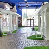 Newtown Orthodontics ico