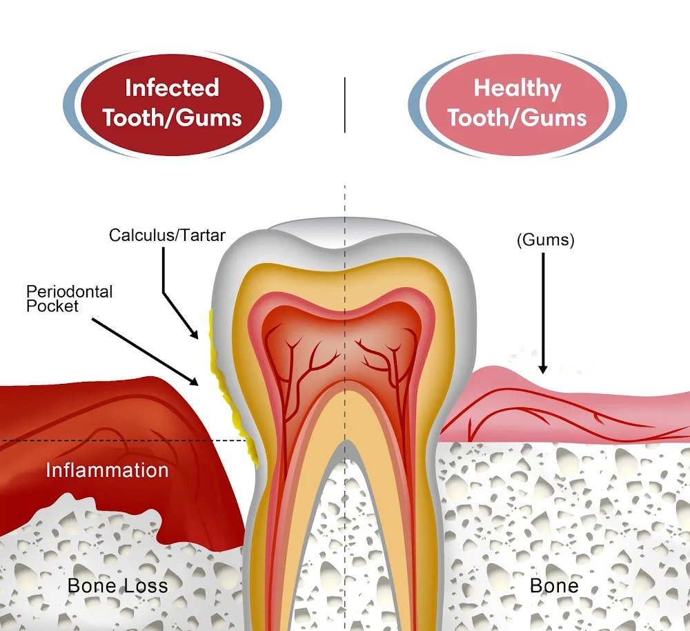 Sam B Khoury DDS MS-Dental Implant & Perio Surgeons Picture 9