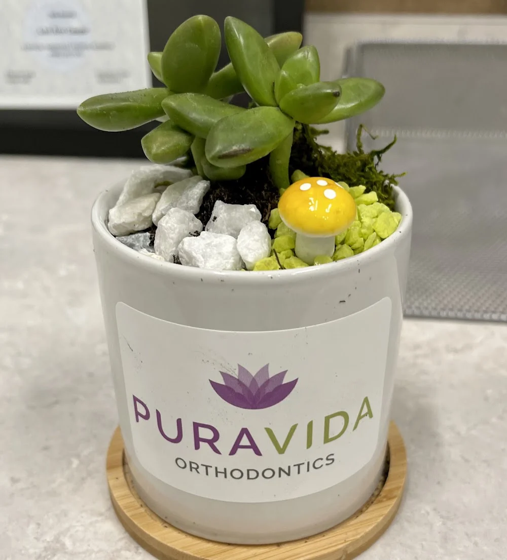Pura Vida Orthodontics Picture 10