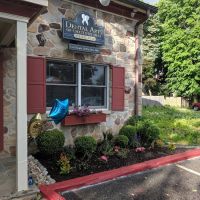 Dental Arts of Chestnut Hill ico