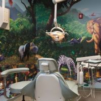 Children's Dental Health of Plymouth Meeting ico