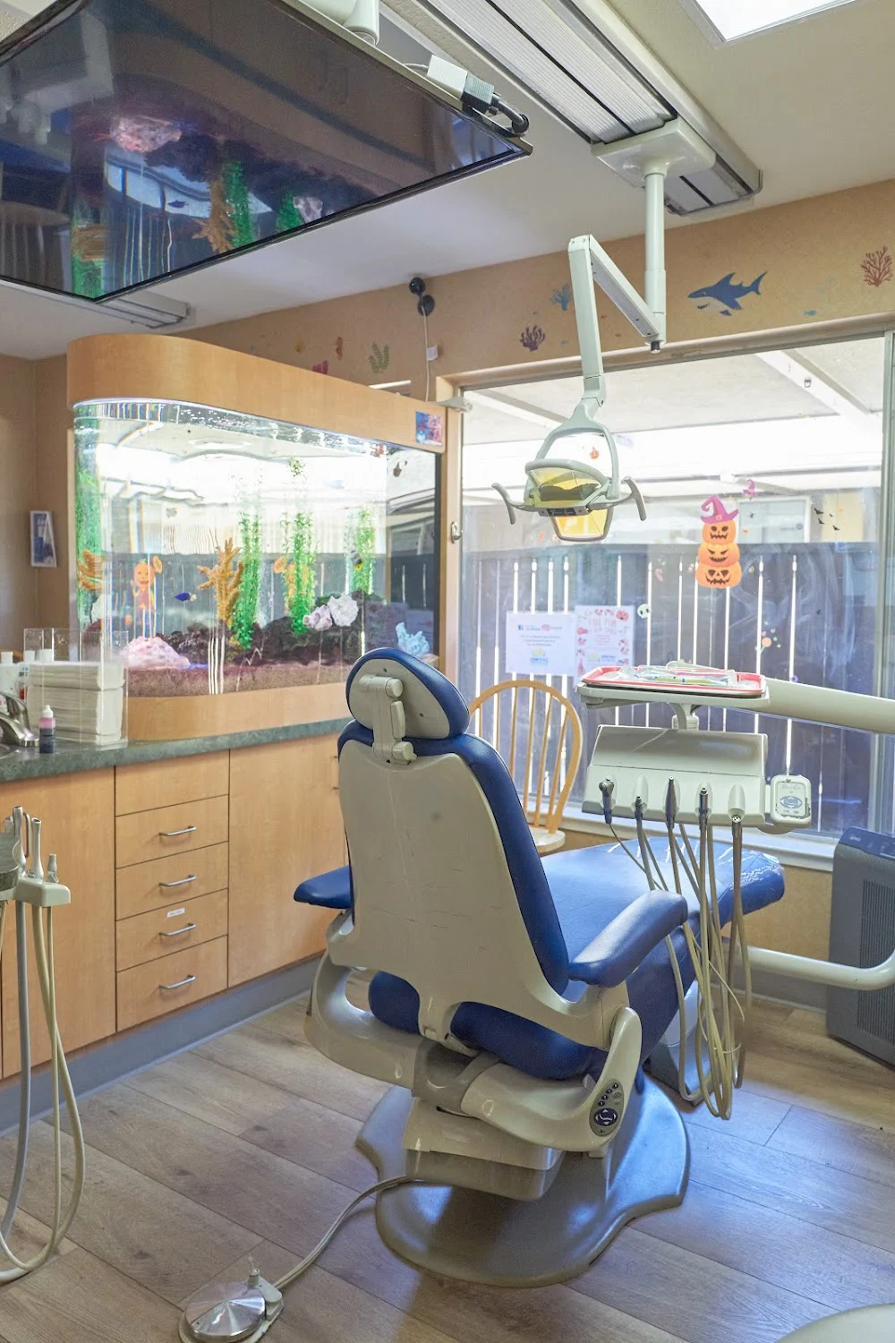 Sunnyvale Pediatric Dentistry and Orthodontics Picture 1