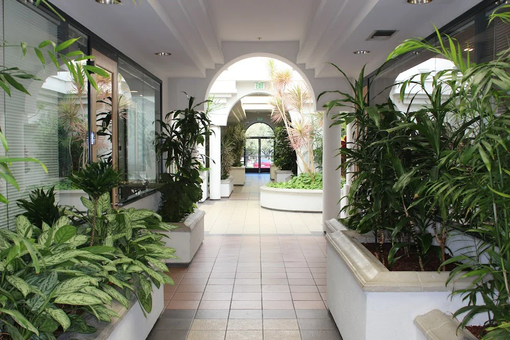 Sunnyvale Orthodontics Picture 8