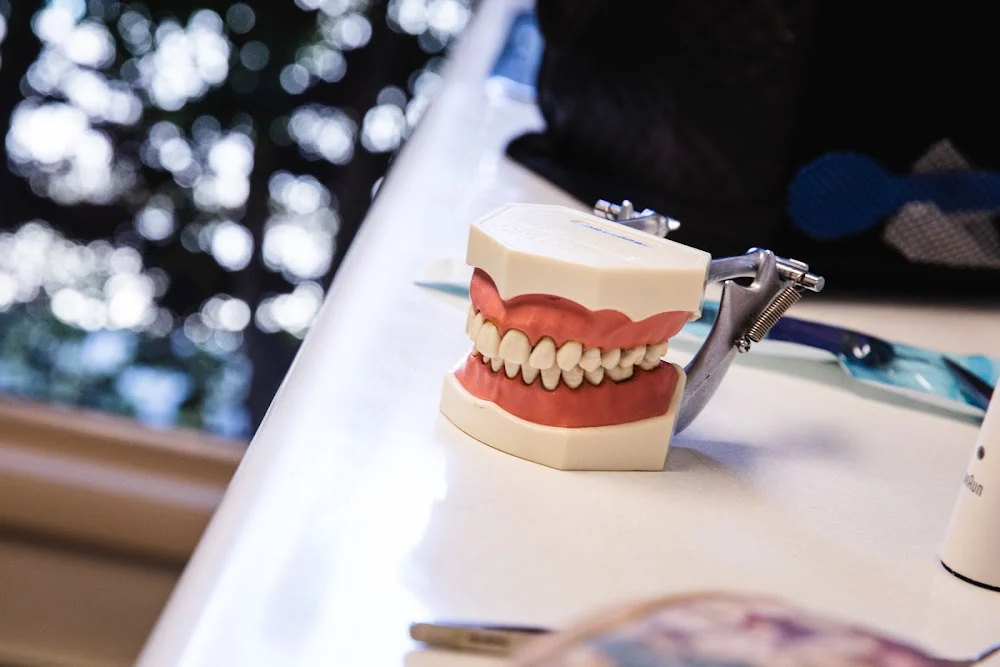 Cathrine Steinborn, DDS Picture 2