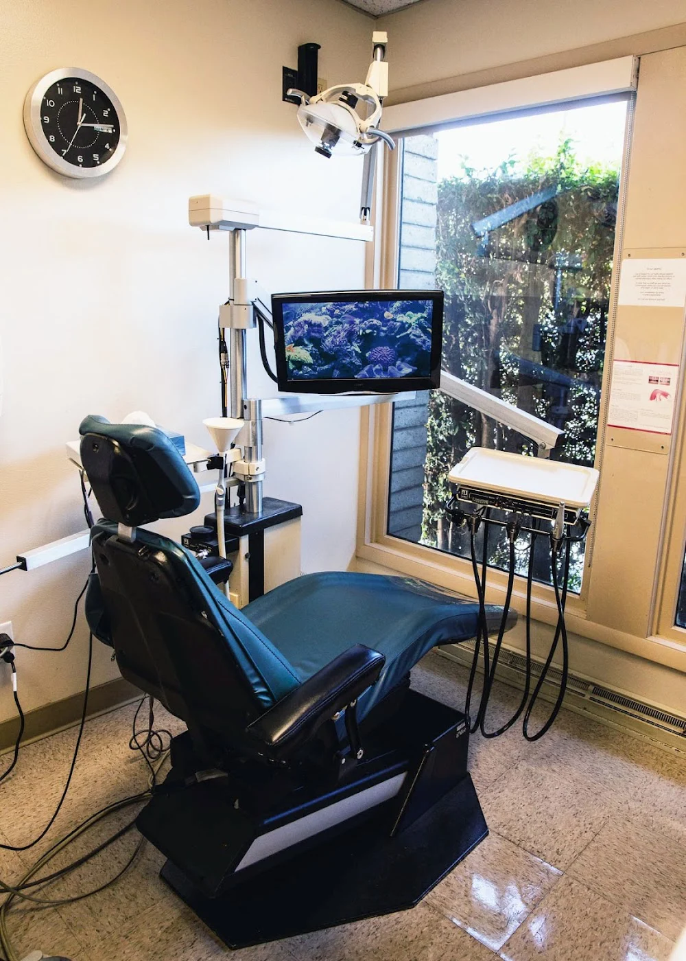 Cathrine Steinborn, DDS Picture 3