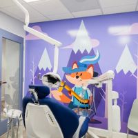 Brushketeers Dentistry for Kids ico