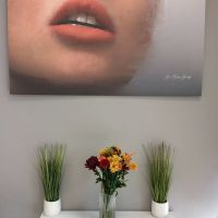 The Smile Institute Advanced Dentistry & Orthodontics ico