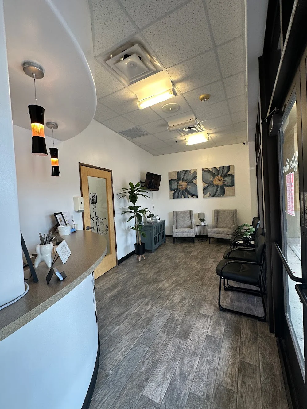 Suncoast Dental Picture 4