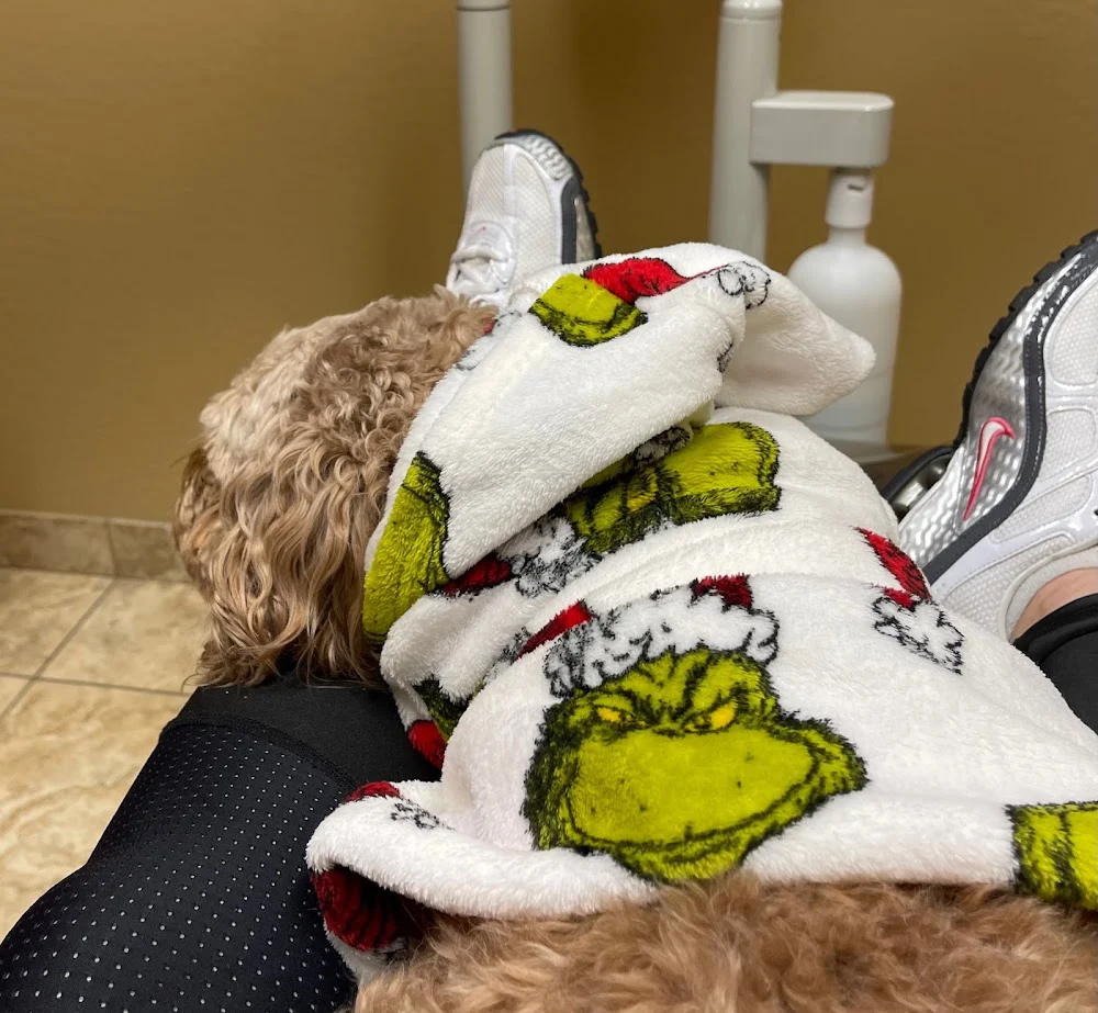 Estrella Mountain Dentistry Picture 2