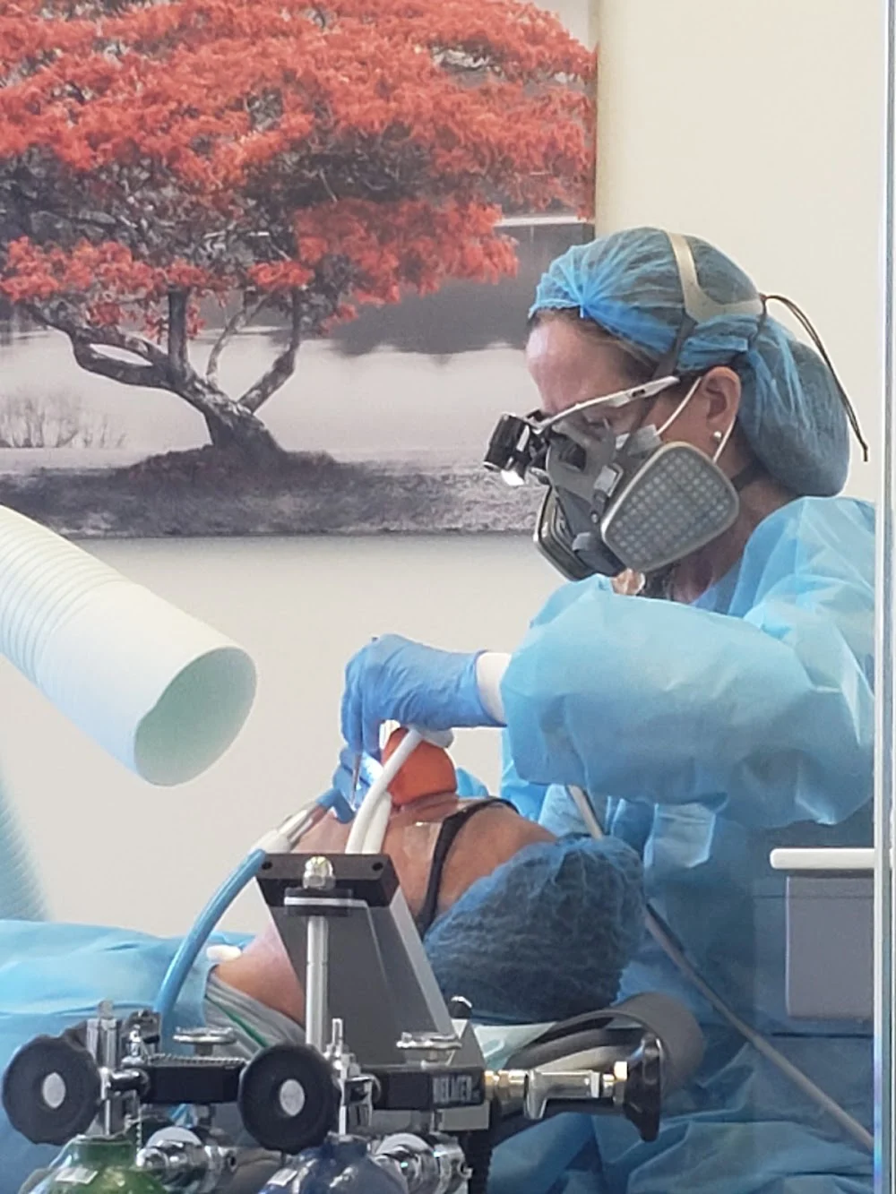BIODENT, Biologic Holistic Dentistry Picture 1