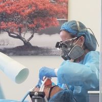 BIODENT, Biologic Holistic Dentistry ico