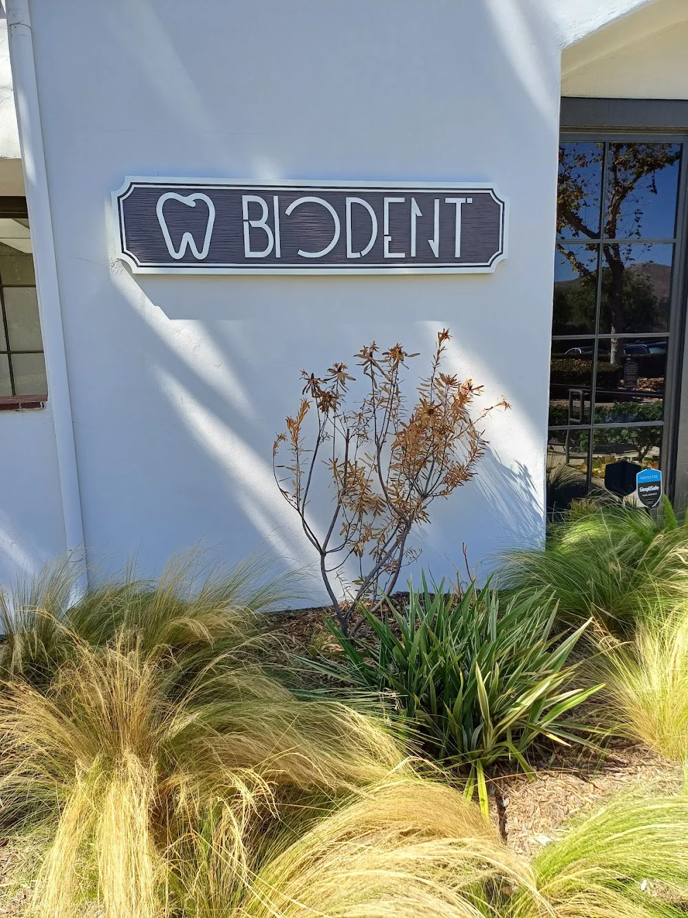 BIODENT, Biologic Holistic Dentistry Picture 10
