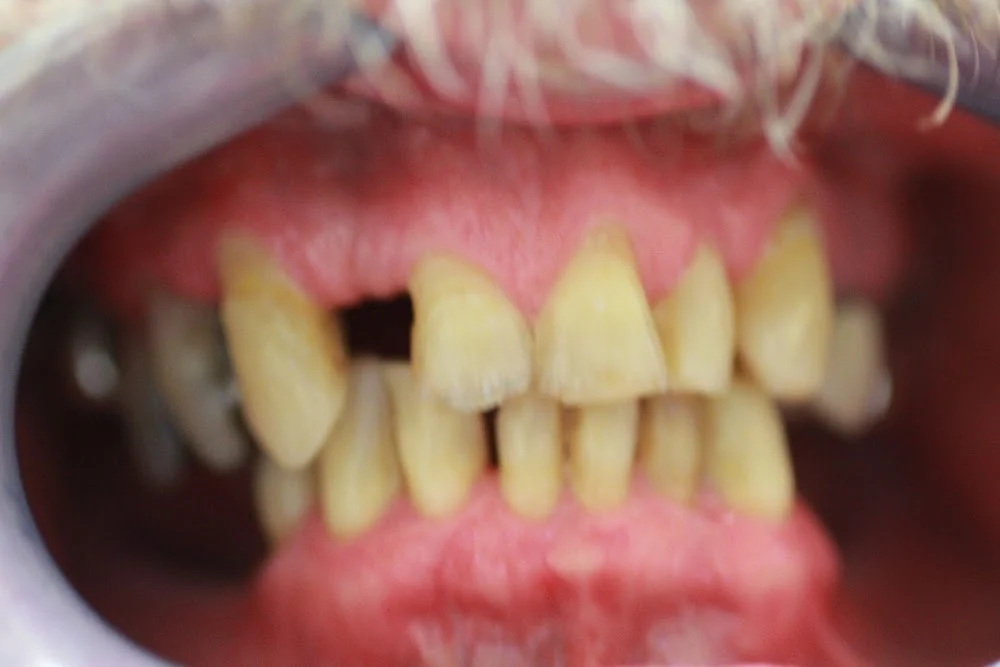 Harvard Dental Group Picture 1