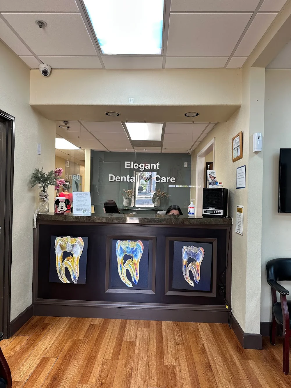 Elegant Dental Care Picture 4
