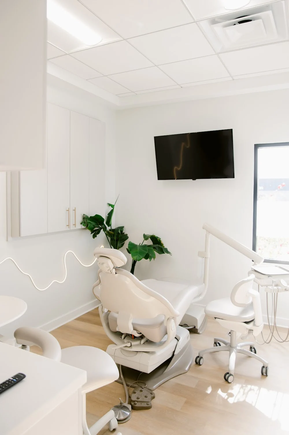 Root Modern Dentistry Picture 4
