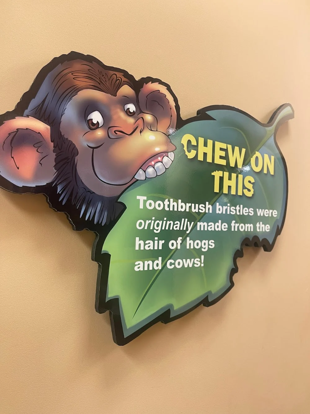 Kiddsmiles Pediatric Dentistry - White Plains Picture 8