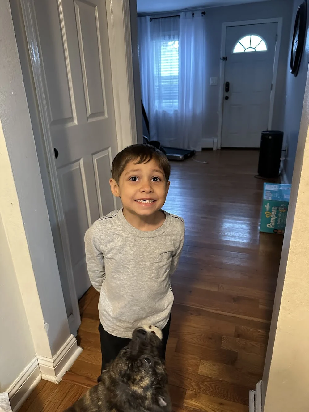 Kiddsmiles Pediatric Dentistry - White Plains Picture 10