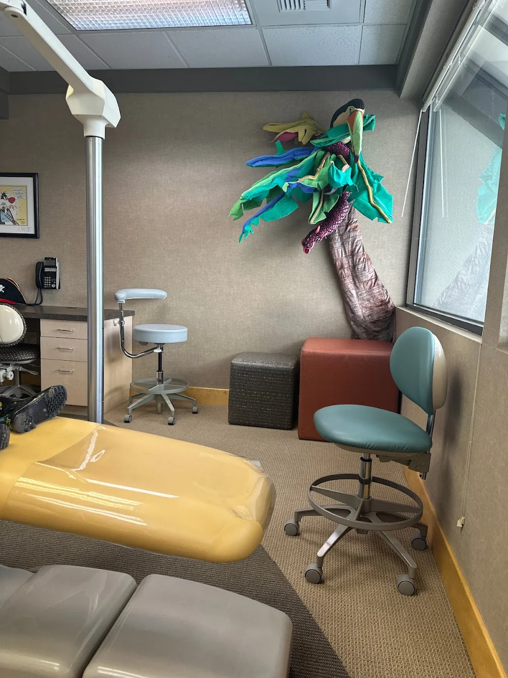 Pediatric Dental Associates Picture 5