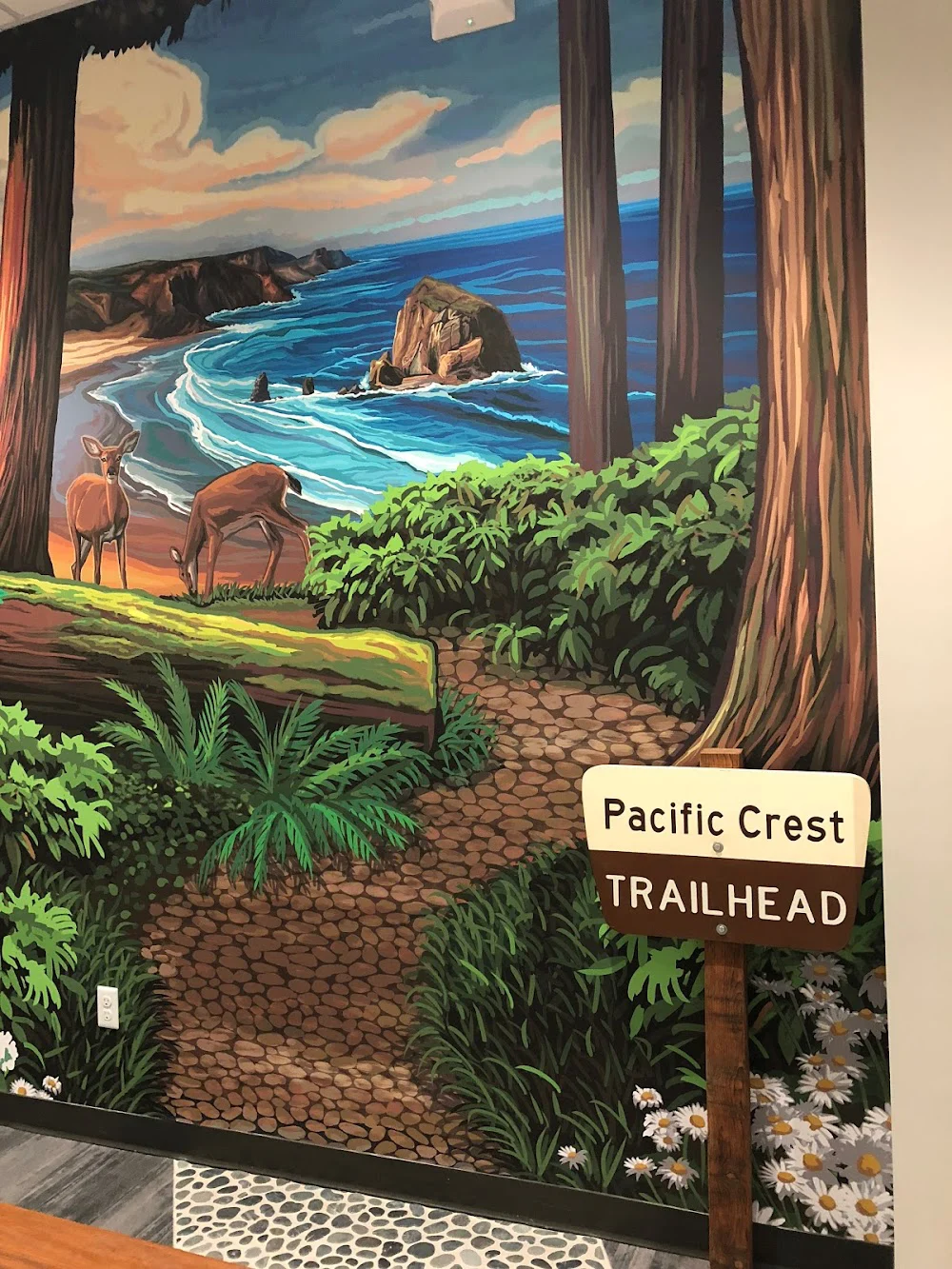 The Kids' Dentist Gig Harbor Picture 10
