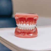 Bordentown Braces ico