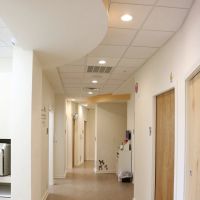 La Petite Dent Pediatric Dentistry and Orthodontics ico