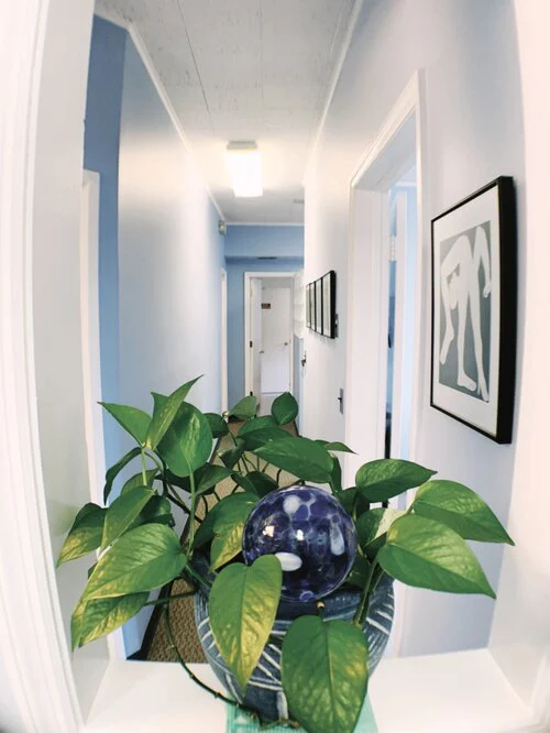 Maria Jacome DDS Picture 1