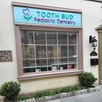 Tooth Bud Pediatric Dentistry ico