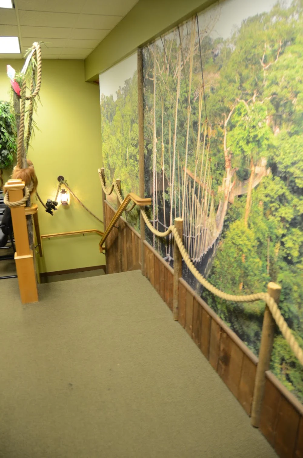 Childrens Dental Care & Orthodontics Picture 5