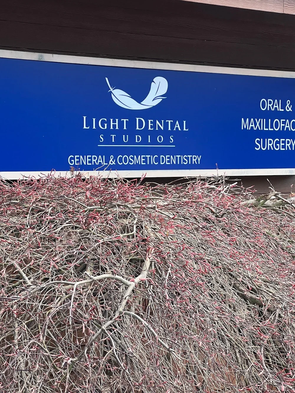 Light Dental Studios of Bonney Lake Picture 7