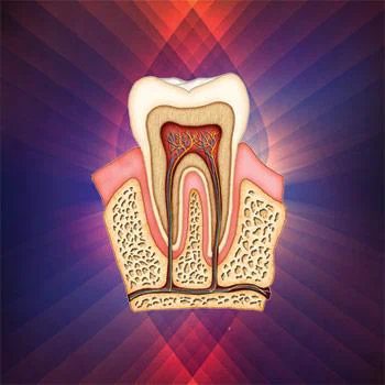 Ecologic Dentistry Picture 7