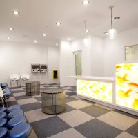 Great Whites Pediatric Dentistry & Orthodontics ico