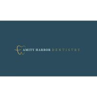 Amity Harbor Dentistry - Scott Levitz, DDS ico